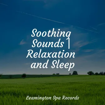 Soothing Sounds | Relaxation and Sleep by PowerThoughts Meditation Club