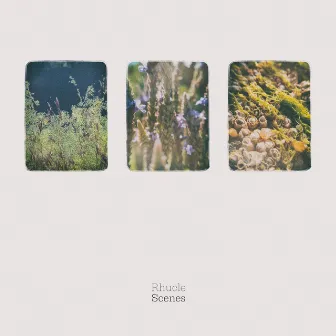 Scenes by Rhucle