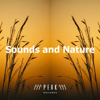 Sounds and Nature by Therapeutic