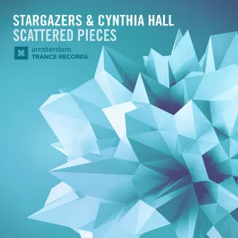 Scattered Pieces by Cynthia Hall