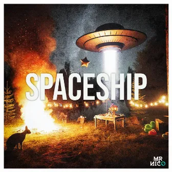 Spaceship by Mr. Nico