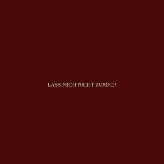 Lass Mich Nicht Zurück by Lamin Chaib