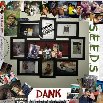 S.E.E.D.S by Dank