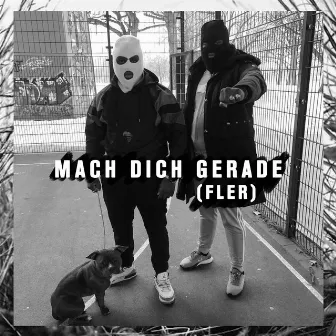 Mach dich gerade (Fler) by Telson