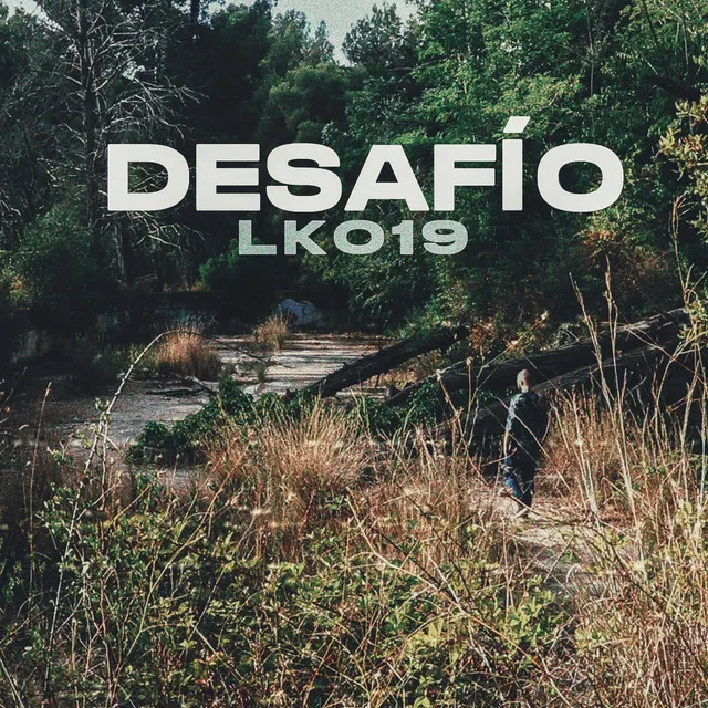 Desafío