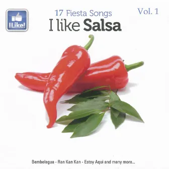 I Like Salsa, Vol. 1 by Grupo Ramirez