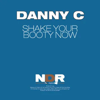 Shake Your Booty Now by Danny C