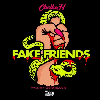 Fake Friends by Chella H.