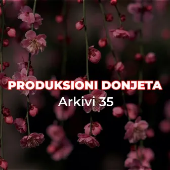 Arkivi 35 Produksioni Donjeta by Vezire Gashi