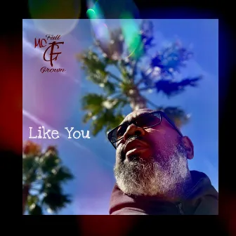 Like You by MC Full Grown