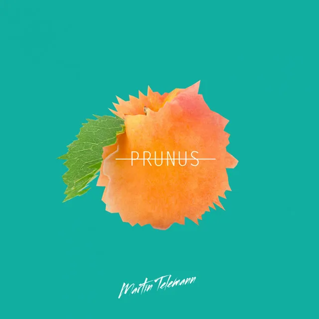 Prunus