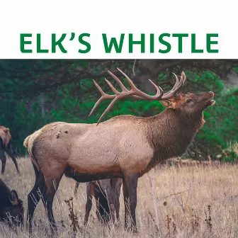 Elk's Whistle by Elk Whistle