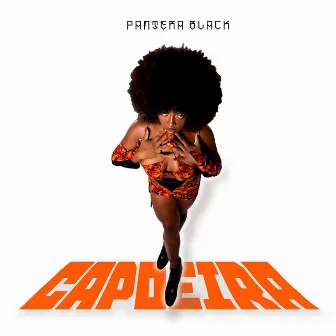 Capoeira by Pantera Black