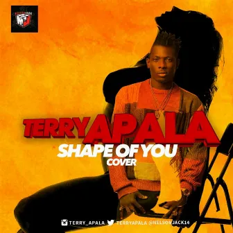 Shape of You (Cover) by Terry Apala