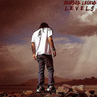 Levels by Bearded Legend