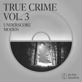 True Crime Vol. III by Michael James Burns