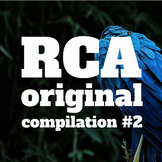 RCA Original Compilation #2 by Real Cumbia Activa RCA