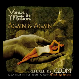 Again & Again by Venus In Motion