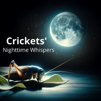 Crickets' Nighttime Whispers: Nature's Sleepy Serenades by Insomnia Meditation Zone