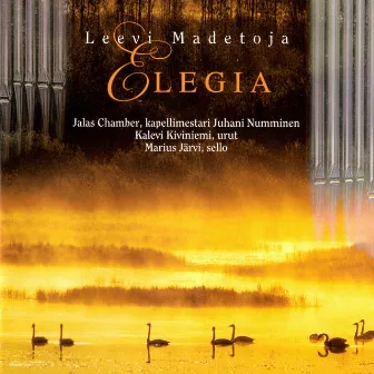 Elegia by Jalas Chamber