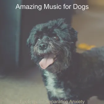 Feelings for Separation Anxiety by Amazing Music for Dogs