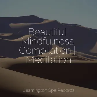 Beautiful Mindfulness Compilation | Meditation by Sound Healing Center