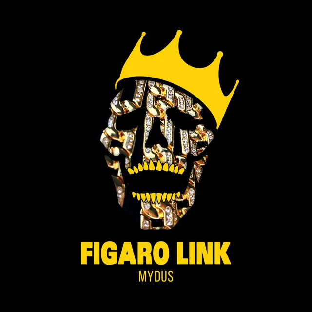 Figaro Link