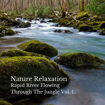 Nature Relaxation: Rapid River Flowing Through The Jungle Vol. 1 by Relaxing Fields