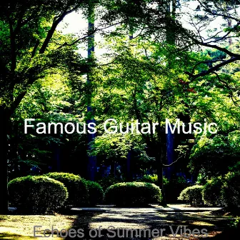 Echoes of Summer Vibes by Famous Guitar Music