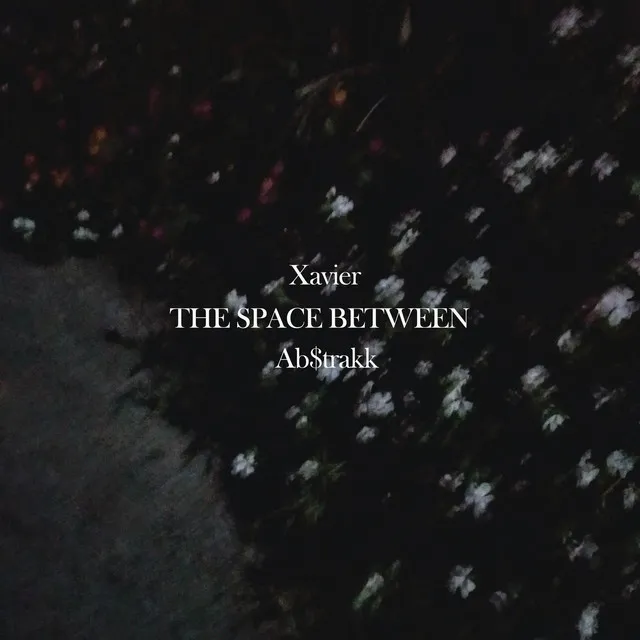 The Space Between