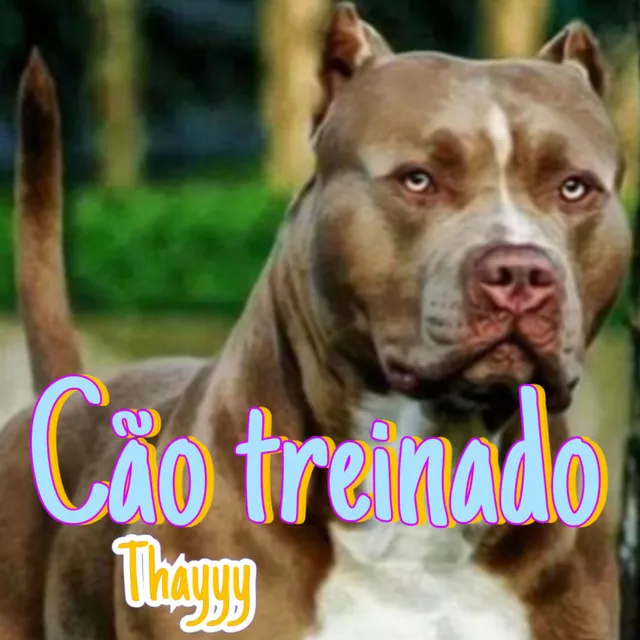 Cão Treinado