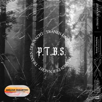 Tränen der Nacht by P.T.B.S.