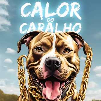 Calor Do Caralho by Lilke no beat p