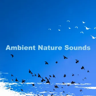 Ambient Nature Sounds by Island Nature Sounds