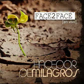 Hacedor De Milagros by Face 2 Face