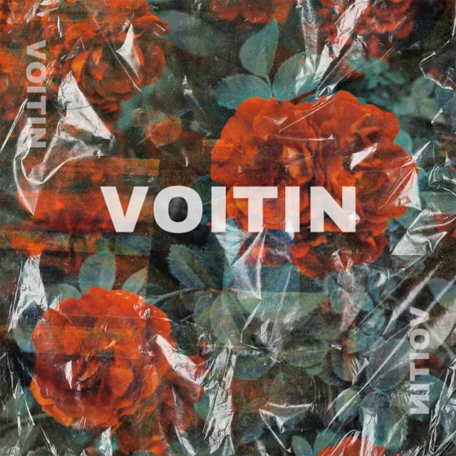 Voitin