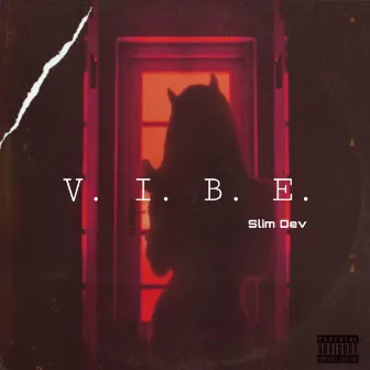 Vibe by Slim Dev