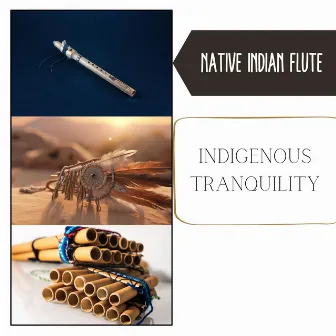 Indigenous Tranquility: Shamanistic Healing Rites, Dreamlike Flute Melodies, Spirit Bonding, Cherokee Soul Therapy by Native Indian Flute