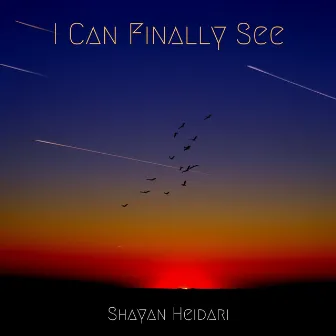 I Can Finally See by Shayan Heidari