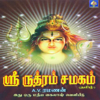 Sri Rudram - Chamakam by A. V. Ramanan