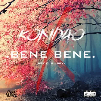 Bene Bene by Kondao