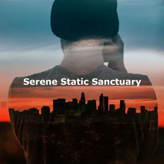 Serene Static Sanctuary by White Noise Dream