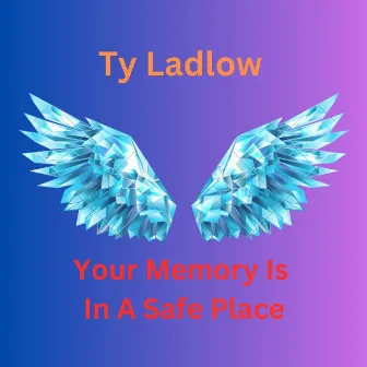 Your Memery Is In A Safe Place by Ty Ladlow