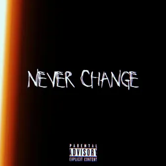 Never Change by Joey Nelson