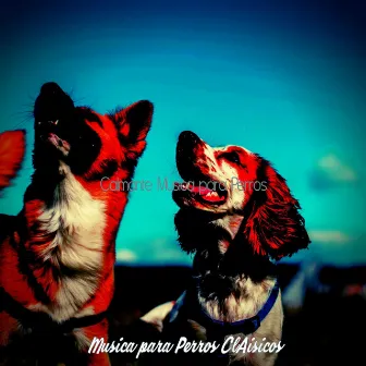 Calmante Musica para Perros by Musica para Perros ClAisicos