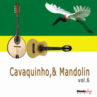 Cavaquinho e Mandolin Vol.6 by Grupo Vou Vivendo