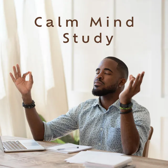 Calm Mind Study: Pure Rain Sounds for Study Session