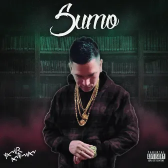 Sumo by Yamir antiman