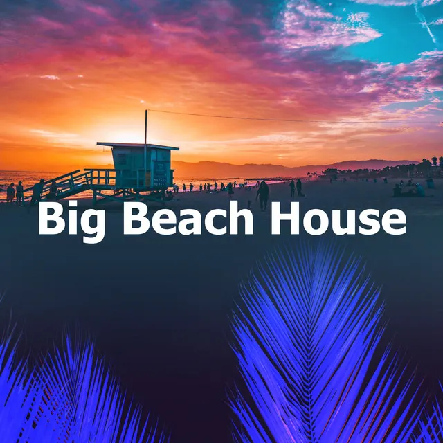 Big Beach House