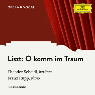 Liszt: O komm im Traum S. 282 by Theodor Scheidl